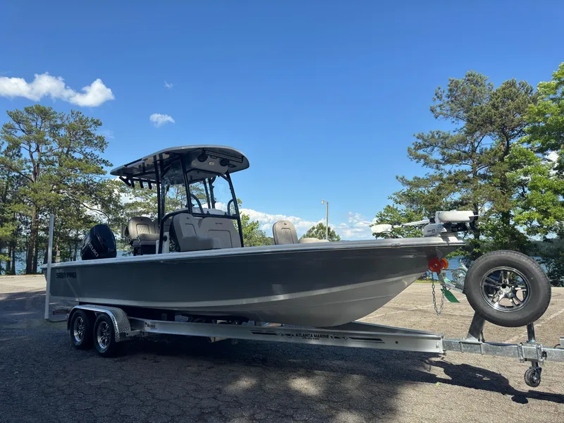 Slide: The Image of Sea Pro 250 DLX 2024 - 17