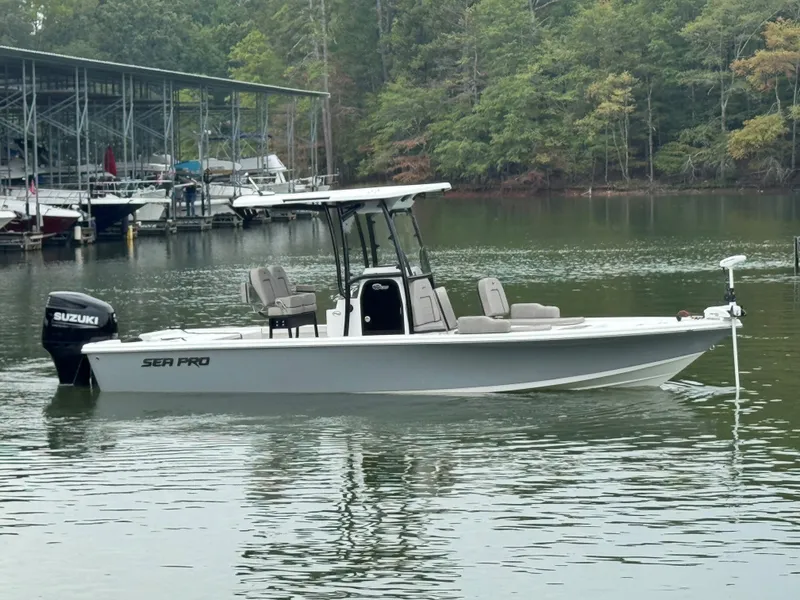 Slide: The Image of Sea Pro 250 DLX 2024 - 4