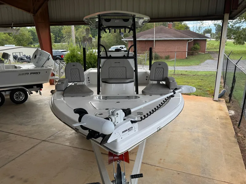 Slide: The Image of Sea Pro 250 DLX 2024 - 6