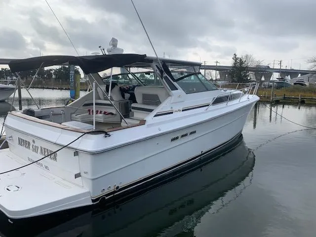 Slide: The Image of Sea Ray 39 1989 - 22