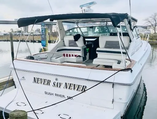 Slide: The Image of Sea Ray 39 1989 - 8