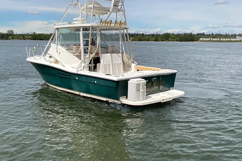 Slide: The Image of 1999 Pursuit Offshore Express boat on calm water, featuring a green hull and fishing equipment. - 5