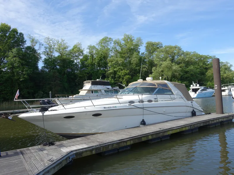 The Image of 1996 Sea Ray 370 Sundancer docked at a marina with lush greenery. - 0