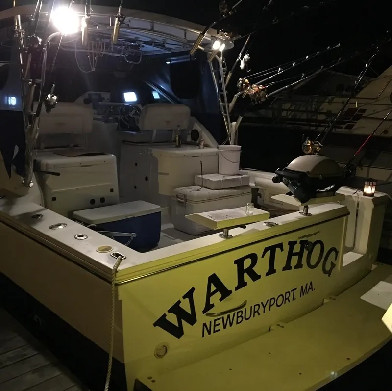 Slide: The Image of 2000 Wellcraft 330 Coastal boat named "Warthog" docked at night, Newburyport, MA. - 33