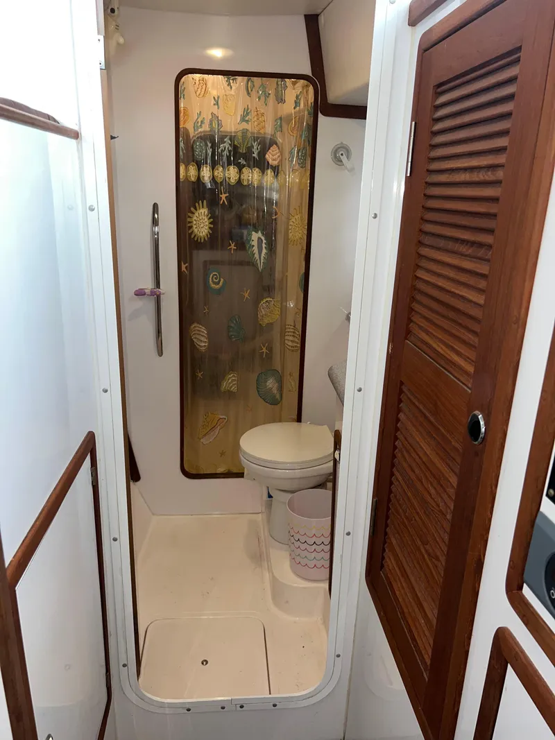 Slide: The Image of Endeavour EndeavourCat 36 2000 - 109