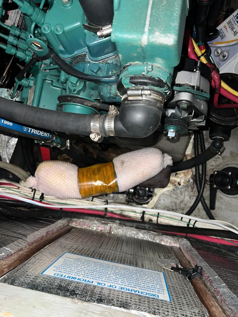 Slide: The Image of Endeavour EndeavourCat 36 2000 - 63