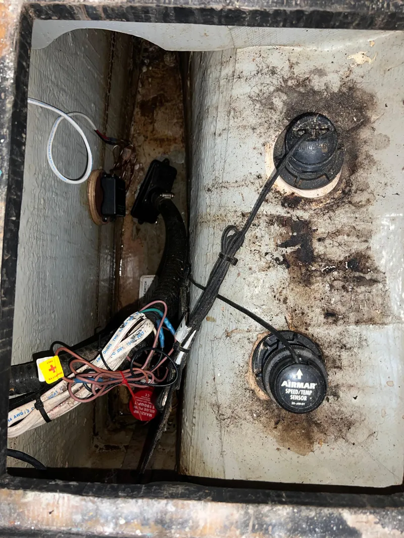 Slide: The Image of Endeavour EndeavourCat 36 2000 - 94