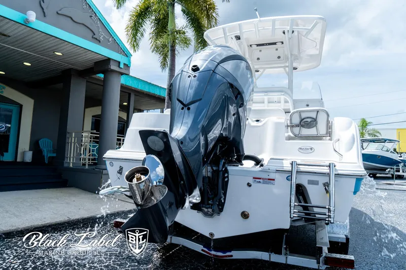 Slide: The Image of 2024 Sea Fox 248 Side Console boat with powerful outboard motor, docked near a marina. - 8