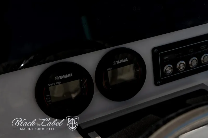 Slide: The Image of Dashboard of 2024 Sea Fox Seafox 251 Bay with Yamaha gauges. - 29