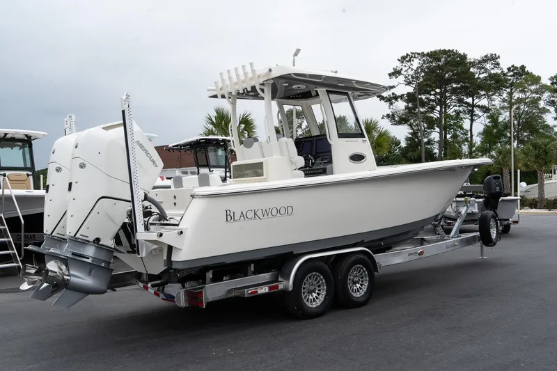 Slide: The Image of 2025 Blackwood 290 OPEN boat on a trailer, rear view. - 7