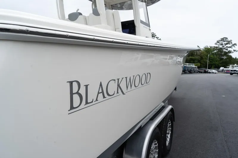 Slide: The Image of 2025 Blackwood 290 OPEN boat on trailer, side view. - 9