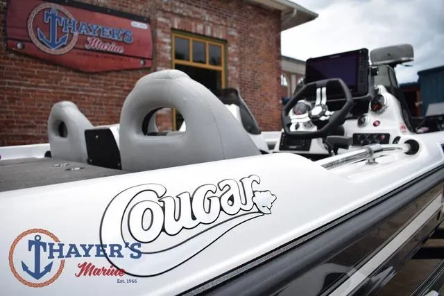 Slide: The Image of Bass Cat Cougar 2017 - 11