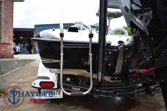 Slide: The Image of Bass Cat Cougar 2017 - 15