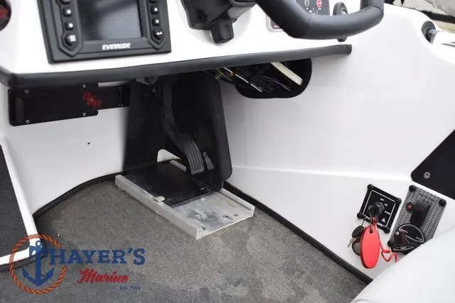 Slide: The Image of Bass Cat Cougar 2017 - 20