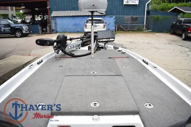 Slide: The Image of Bass Cat Cougar 2017 - 27