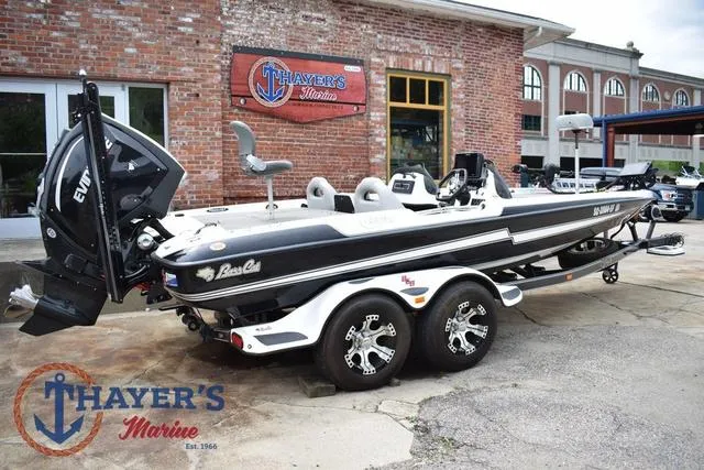 Slide: The Image of Bass Cat Cougar 2017 - 3