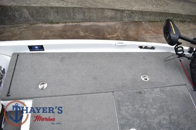 Slide: The Image of Bass Cat Cougar 2017 - 30