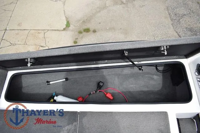 Slide: The Image of Bass Cat Cougar 2017 - 31