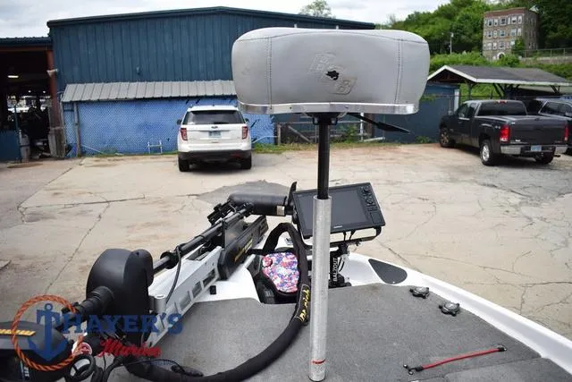 Slide: The Image of Bass Cat Cougar 2017 - 33