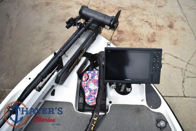 Slide: The Image of Bass Cat Cougar 2017 - 34