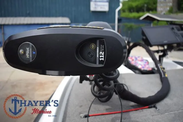 Slide: The Image of Bass Cat Cougar 2017 - 35