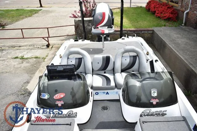 Slide: The Image of Bass Cat Cougar 2017 - 36