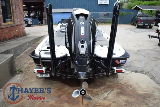 Slide: The Image of Bass Cat Cougar 2017 - 4