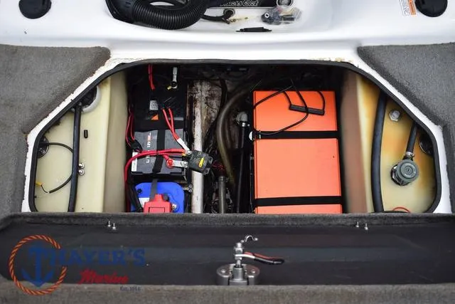 Slide: The Image of Bass Cat Cougar 2017 - 42