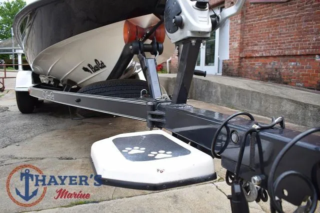 Slide: The Image of Bass Cat Cougar 2017 - 43