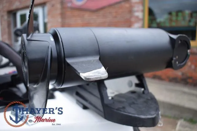 Slide: The Image of Bass Cat Cougar 2017 - 44