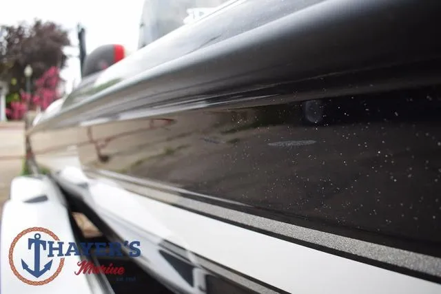 Slide: The Image of Bass Cat Cougar 2017 - 45