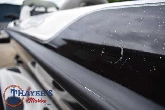 Slide: The Image of Bass Cat Cougar 2017 - 47