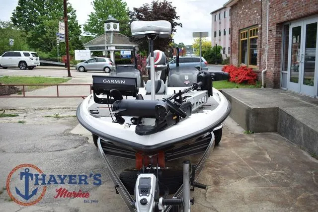 Slide: The Image of Bass Cat Cougar 2017 - 7