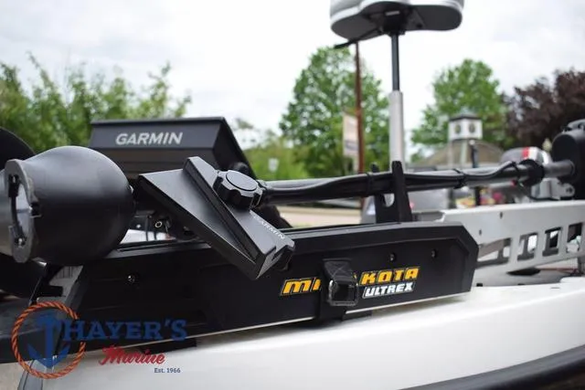 Slide: The Image of Bass Cat Cougar 2017 - 9