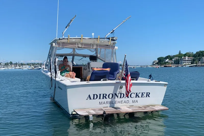 The Image of Bertram 26 Moppie 1977 - undefined