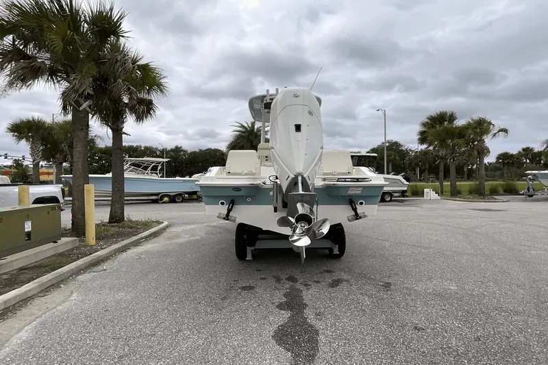 Slide: The Image of Boston Whaler 250 Dauntless 2025 - 12