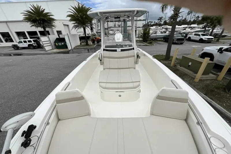 Slide: The Image of Boston Whaler 250 Dauntless 2025 - 8