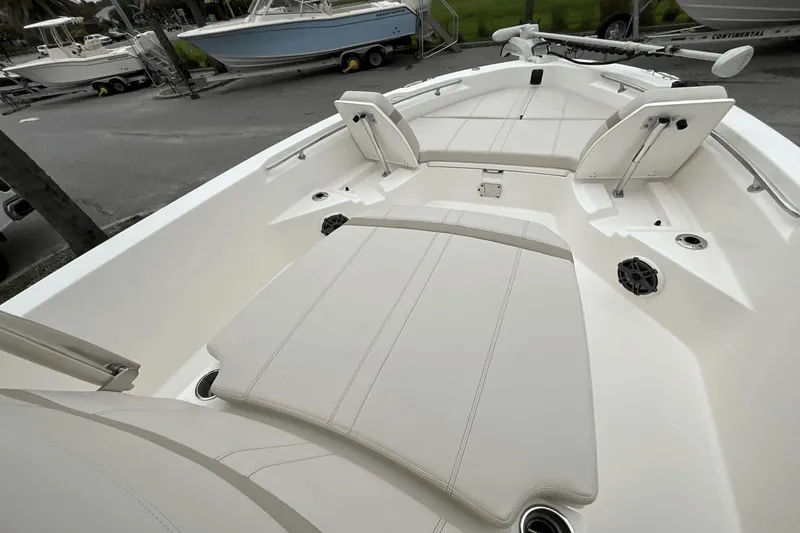 Slide: The Image of Boston Whaler 250 Dauntless 2025 - 9