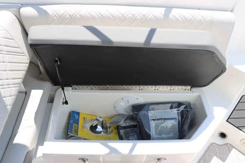 Slide: The Image of Sea Ray SDX 270 2025 - 11