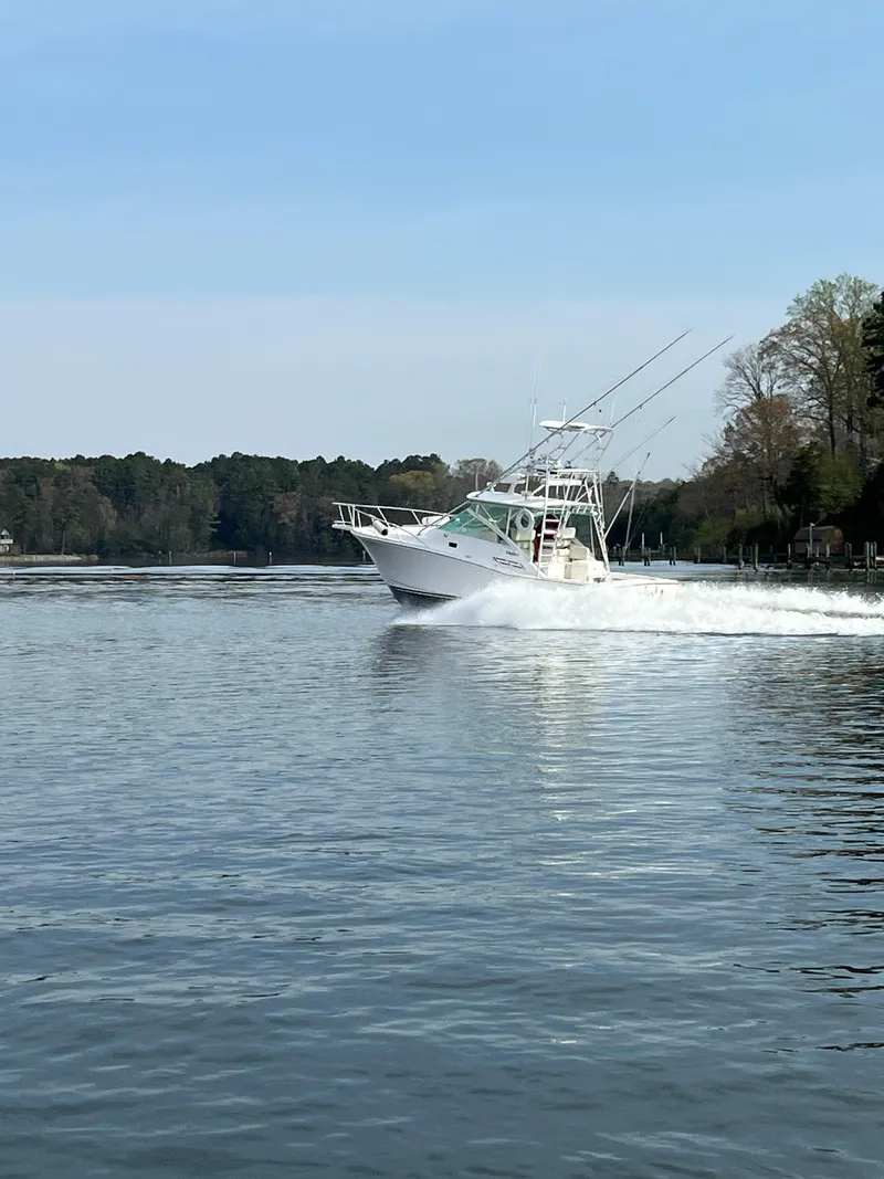 Slide: The Image of Cabo 31 Express 2002 - 4