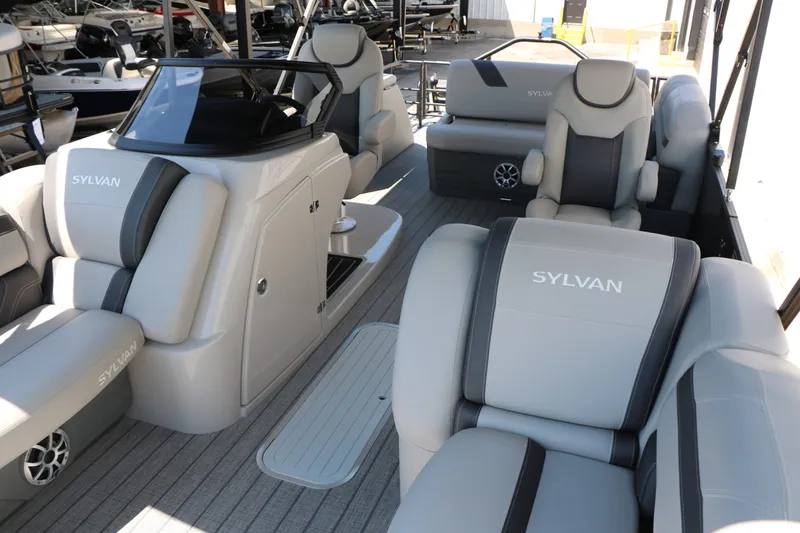 Slide: The Image of Sylvan L3 CLZ DH Tri Toon 2025 - 12