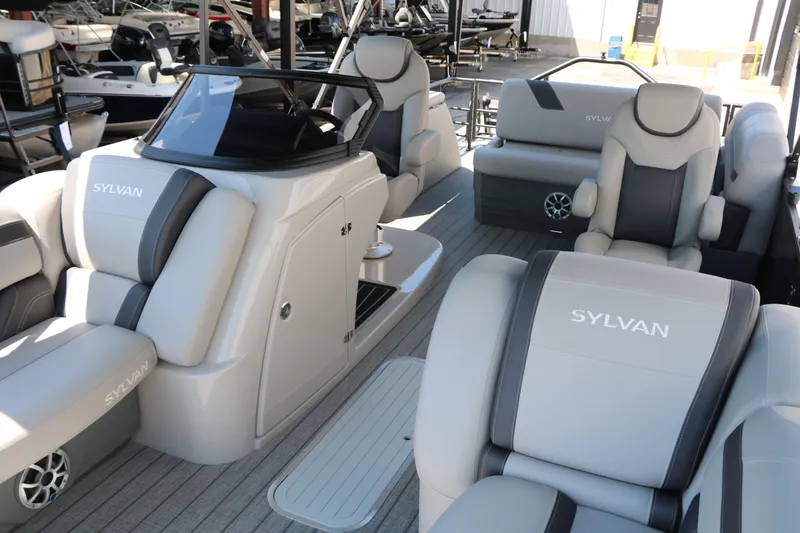 Slide: The Image of Sylvan L3 CLZ DH Tri Toon 2025 - 13