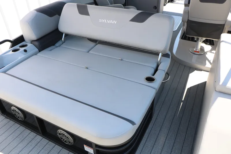 Slide: The Image of Sylvan L3 CLZ DH Tri Toon 2025 - 15