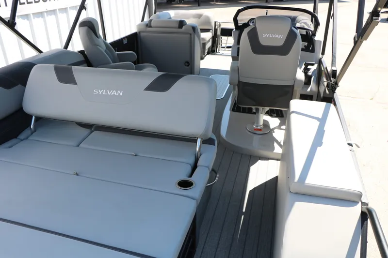 Slide: The Image of Sylvan L3 CLZ DH Tri Toon 2025 - 16