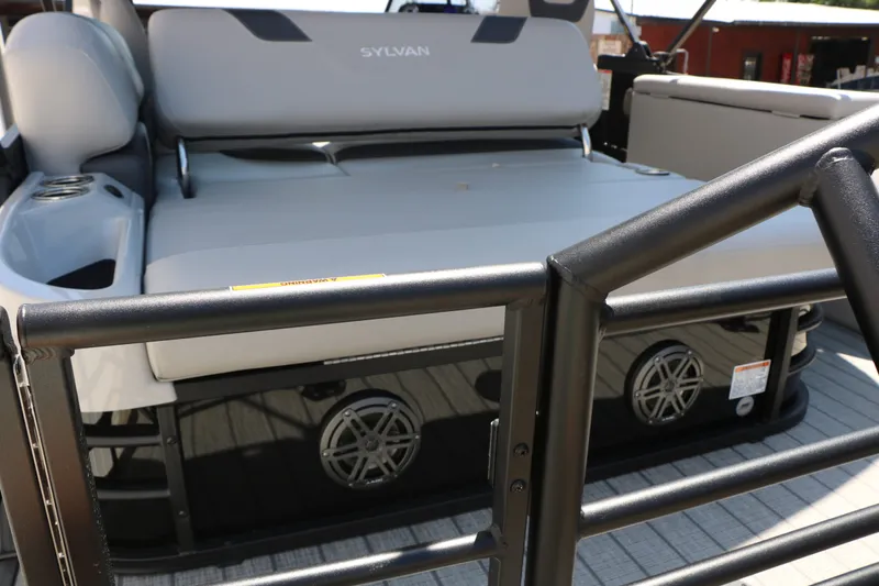 Slide: The Image of Sylvan L3 CLZ DH Tri Toon 2025 - 17