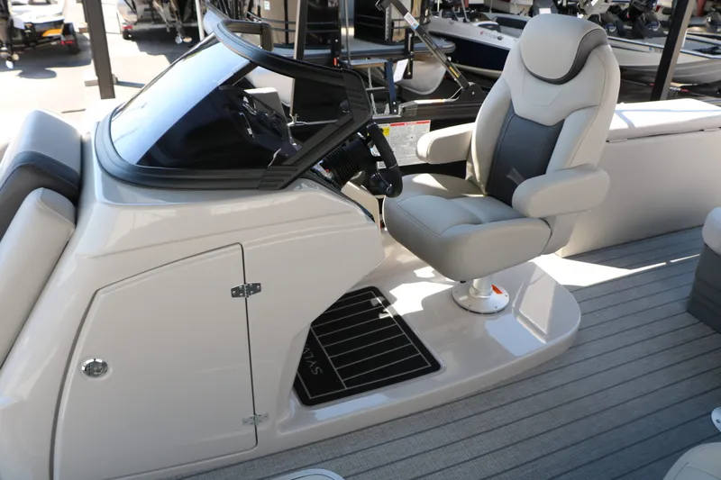 Slide: The Image of Sylvan L3 CLZ DH Tri Toon 2025 - 20