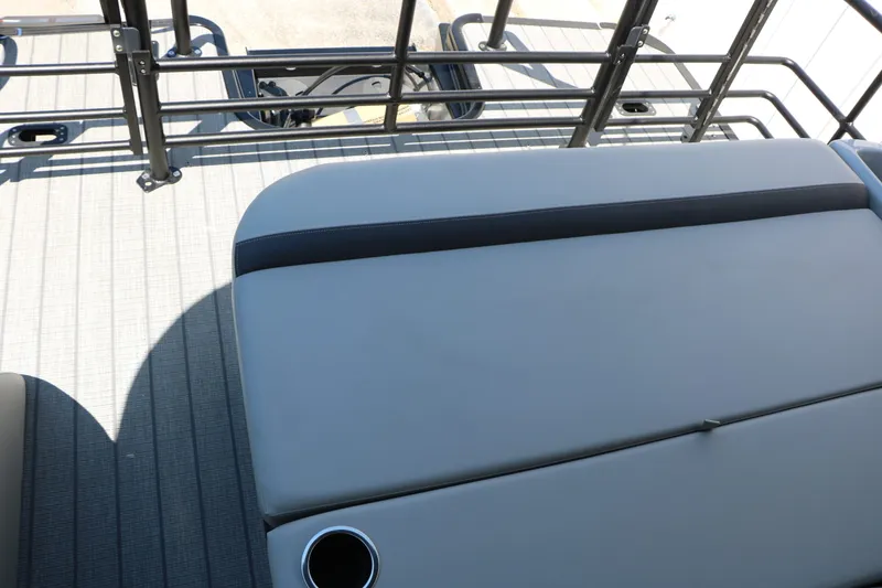 Slide: The Image of Sylvan L3 CLZ DH Tri Toon 2025 - 23