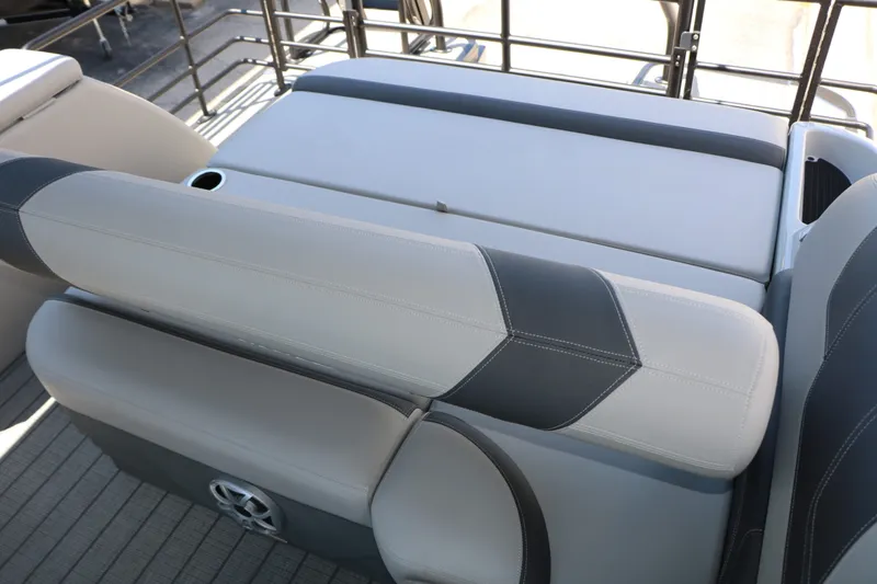 Slide: The Image of Sylvan L3 CLZ DH Tri Toon 2025 - 26