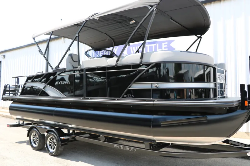 Slide: The Image of Sylvan L3 CLZ DH Tri Toon 2025 - 3