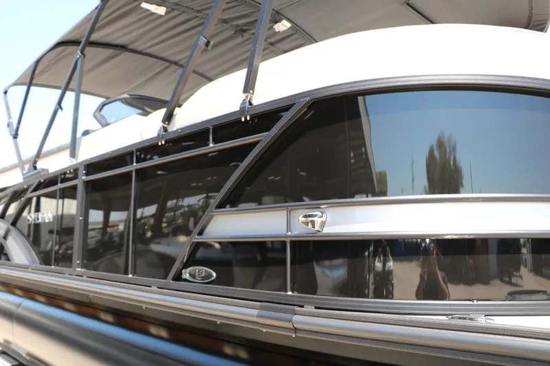 Slide: The Image of Sylvan L3 CLZ DH Tri Toon 2025 - 30